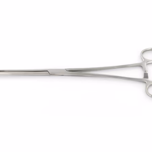 Pinza Bozeman